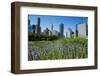 Colorful Flowers in the Millennium Park with the Skyline of Chicago, Illinois, Usa-Michael Runkel-Framed Photographic Print