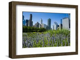Colorful Flowers in the Millennium Park with the Skyline of Chicago, Illinois, Usa-Michael Runkel-Framed Photographic Print