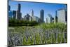 Colorful Flowers in the Millennium Park with the Skyline of Chicago, Illinois, Usa-Michael Runkel-Mounted Photographic Print