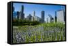 Colorful Flowers in the Millennium Park with the Skyline of Chicago, Illinois, Usa-Michael Runkel-Framed Stretched Canvas