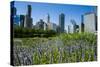 Colorful Flowers in the Millennium Park with the Skyline of Chicago, Illinois, Usa-Michael Runkel-Stretched Canvas