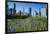 Colorful Flowers in the Millennium Park with the Skyline of Chicago, Illinois, Usa-Michael Runkel-Framed Photographic Print