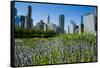 Colorful Flowers in the Millennium Park with the Skyline of Chicago, Illinois, Usa-Michael Runkel-Framed Stretched Canvas