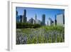 Colorful Flowers in the Millennium Park with the Skyline of Chicago, Illinois, Usa-Michael Runkel-Framed Photographic Print