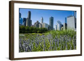 Colorful Flowers in the Millennium Park with the Skyline of Chicago, Illinois, Usa-Michael Runkel-Framed Photographic Print