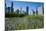 Colorful Flowers in the Millennium Park with the Skyline of Chicago, Illinois, Usa-Michael Runkel-Mounted Photographic Print