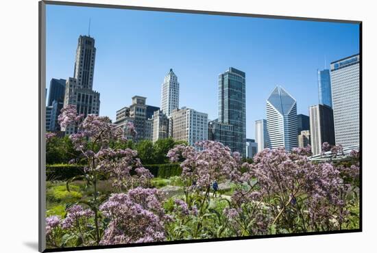 Colorful Flowers in the Millennium Park with the Skyline of Chicago, Illinois, Usa-Michael Runkel-Mounted Photographic Print