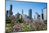 Colorful Flowers in the Millennium Park with the Skyline of Chicago, Illinois, Usa-Michael Runkel-Mounted Photographic Print