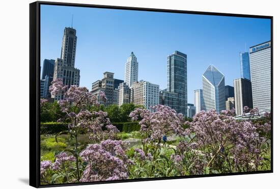 Colorful Flowers in the Millennium Park with the Skyline of Chicago, Illinois, Usa-Michael Runkel-Framed Stretched Canvas