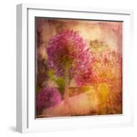 Colorful Flowers-Robert Cattan-Framed Photographic Print