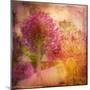 Colorful Flowers-Robert Cattan-Mounted Photographic Print