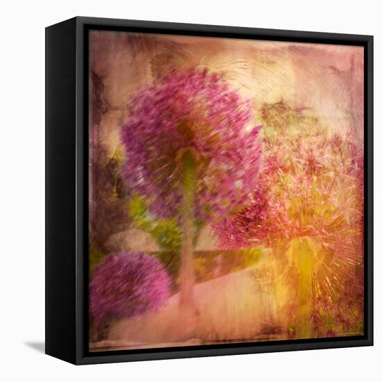 Colorful Flowers-Robert Cattan-Framed Stretched Canvas