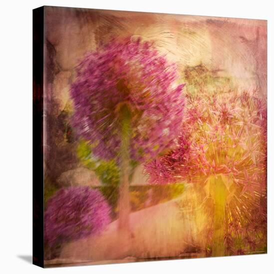 Colorful Flowers-Robert Cattan-Stretched Canvas