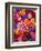 Colorful Flowers-Darrell Gulin-Framed Photographic Print