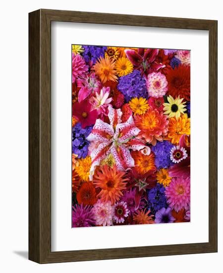 Colorful Flowers-Darrell Gulin-Framed Photographic Print