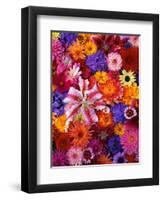 Colorful Flowers-Darrell Gulin-Framed Photographic Print