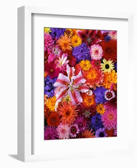 Colorful Flowers-Darrell Gulin-Framed Photographic Print