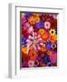 Colorful Flowers-Darrell Gulin-Framed Photographic Print