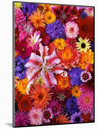 Colorful Flowers-Darrell Gulin-Mounted Photographic Print