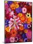 Colorful Flowers-Darrell Gulin-Mounted Photographic Print
