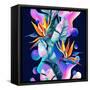 Colorful Fluid and Geometric Shapes-tanycya-Framed Stretched Canvas