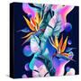 Colorful Fluid and Geometric Shapes-tanycya-Stretched Canvas