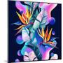 Colorful Fluid and Geometric Shapes-tanycya-Mounted Art Print