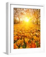 Colorful Foliage in the Autumn Park-sborisov-Framed Photographic Print