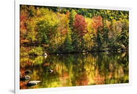 Colorful Foliage Reflection in a Tranquil Lake-George Oze-Framed Photographic Print