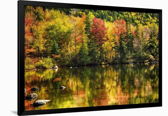 Colorful Foliage Reflection in a Tranquil Lake-George Oze-Framed Photographic Print