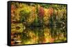 Colorful Foliage Reflection in a Tranquil Lake-George Oze-Framed Stretched Canvas