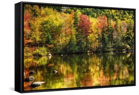 Colorful Foliage Reflection in a Tranquil Lake-George Oze-Framed Stretched Canvas