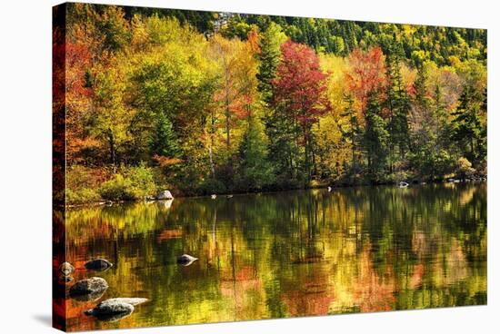 Colorful Foliage Reflection in a Tranquil Lake-George Oze-Stretched Canvas