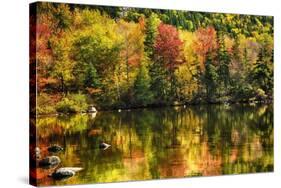 Colorful Foliage Reflection in a Tranquil Lake-George Oze-Stretched Canvas