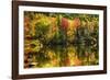 Colorful Foliage Reflection in a Tranquil Lake-George Oze-Framed Photographic Print