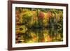 Colorful Foliage Reflection in a Tranquil Lake-George Oze-Framed Photographic Print