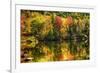 Colorful Foliage Reflection in a Tranquil Lake-George Oze-Framed Photographic Print