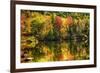 Colorful Foliage Reflection in a Tranquil Lake-George Oze-Framed Photographic Print