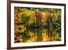 Colorful Foliage Reflection in a Tranquil Lake-George Oze-Framed Photographic Print