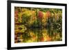 Colorful Foliage Reflection in a Tranquil Lake-George Oze-Framed Photographic Print