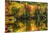 Colorful Foliage Reflection in a Tranquil Lake-George Oze-Mounted Photographic Print