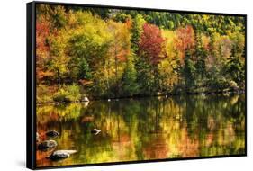 Colorful Foliage Reflection in a Tranquil Lake-George Oze-Framed Stretched Canvas