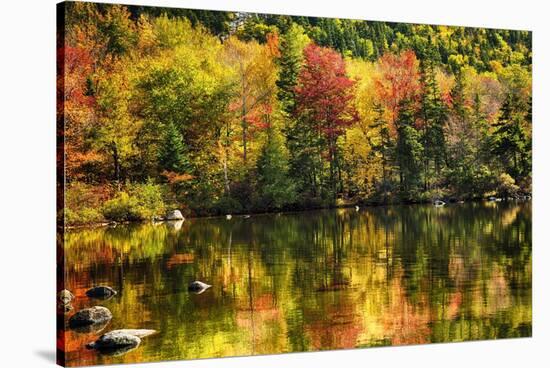 Colorful Foliage Reflection in a Tranquil Lake-George Oze-Stretched Canvas