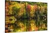 Colorful Foliage Reflection in a Tranquil Lake-George Oze-Stretched Canvas