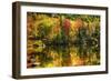 Colorful Foliage Reflection in a Tranquil Lake-George Oze-Framed Photographic Print