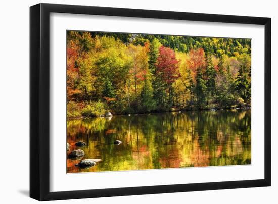 Colorful Foliage Reflection in a Tranquil Lake-George Oze-Framed Photographic Print