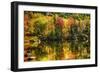 Colorful Foliage Reflection in a Tranquil Lake-George Oze-Framed Photographic Print