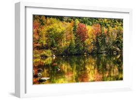 Colorful Foliage Reflection in a Tranquil Lake-George Oze-Framed Photographic Print