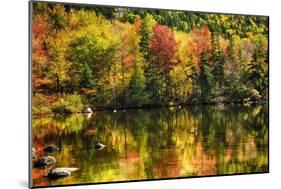 Colorful Foliage Reflection in a Tranquil Lake-George Oze-Mounted Photographic Print