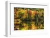 Colorful Foliage Reflection in a Tranquil Lake-George Oze-Framed Premium Photographic Print